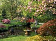 Japońskie ogrody są jednymi z najpiękniejszych – zachwycają od wieków.