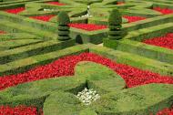 Ogród francuski –  styl aranżacji ogrodów zapoczątkowany we Francji w XVII wieku, w dobie barokowego przepychu i bogactwa. 